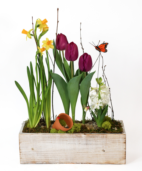 RUSTIC SPRING BLOOMS - BULB GARDEN