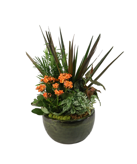 ceramic container with blooming and green plants