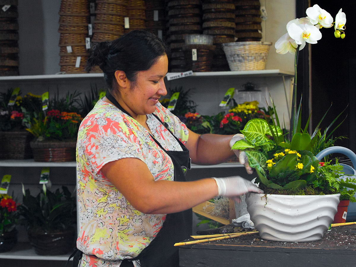 Eastern Floral Flower Shop Jobs Grand Rapids, MI